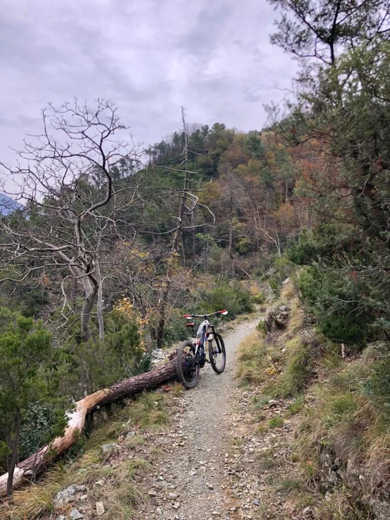 Single track Negrone